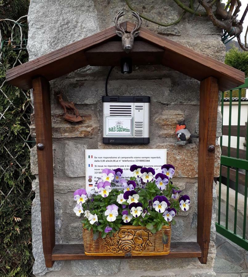 B&B Edelweiss Oulx Quarto foto